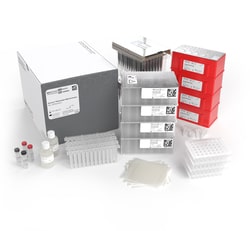 Ion Torrent&trade;&nbsp;Genexus&trade; Multisample DNA Purification Kit